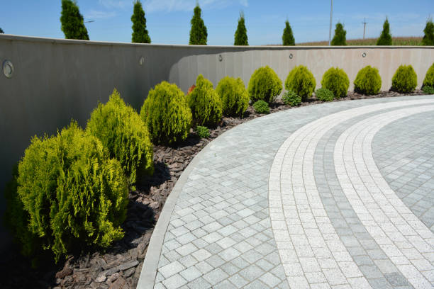 Best Commercial Driveway Pavers  in Coleraine, MN